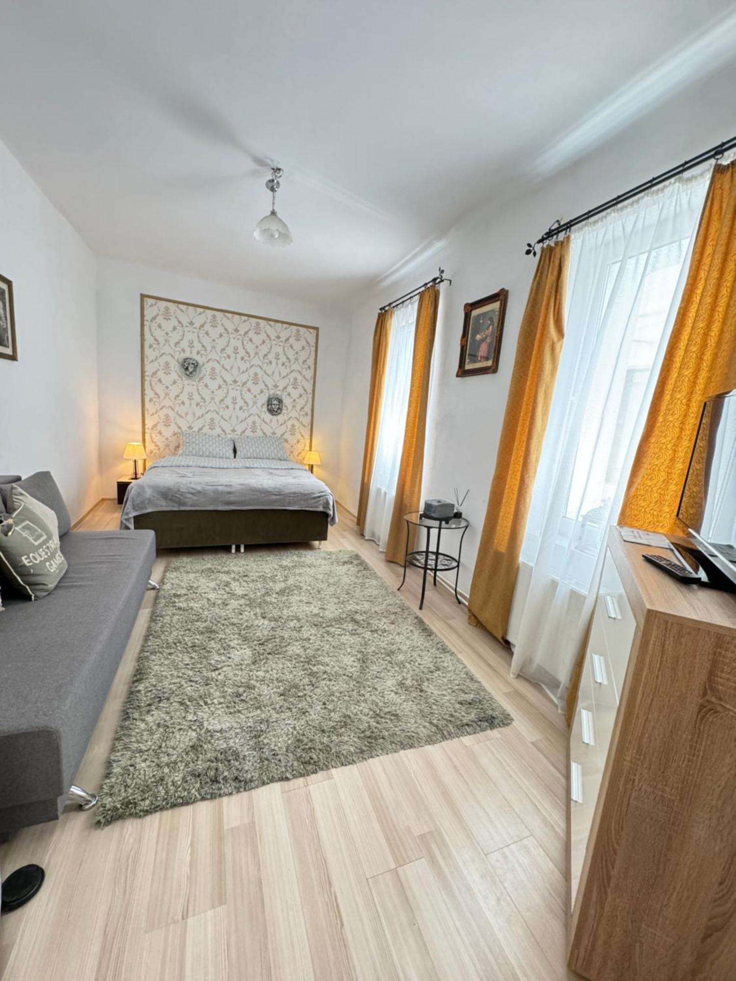 Ari Apartment Брашов Екстер'єр фото